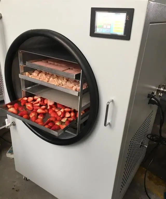 home freeze dryer for sale