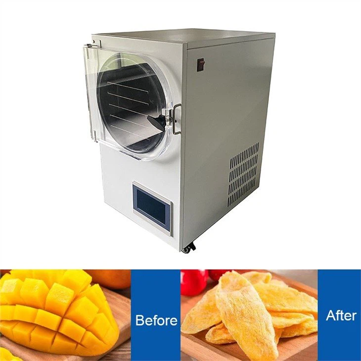 mini freeze dryer for home use